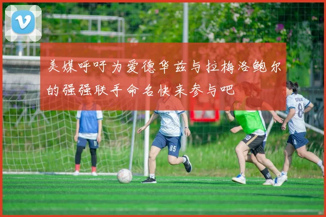 美媒呼吁为爱德华兹与拉梅洛鲍尔的强强联手命名快来参与吧