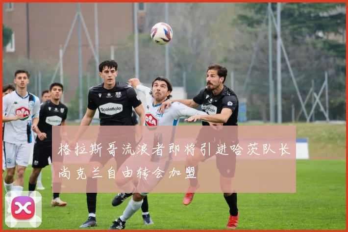 格拉斯哥流浪者即将引进哈茨队长尚克兰自由转会加盟